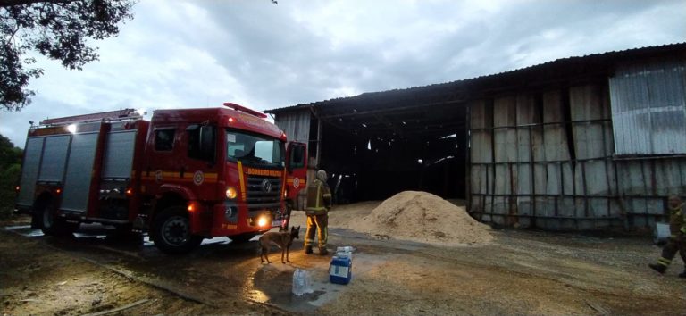 Incêndio em galpão de serragem deixa prejuízo de pelo menos R$ 1 milhão