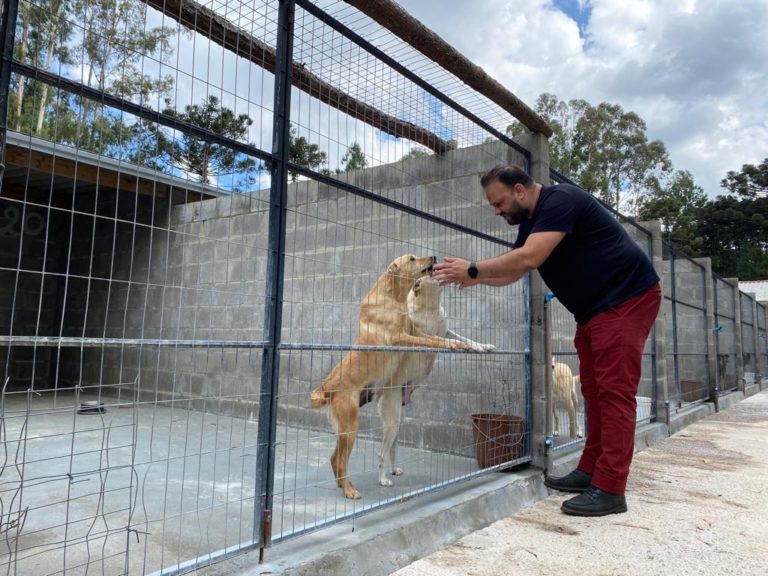 Fila de castrações agendadas neste ano é zerada