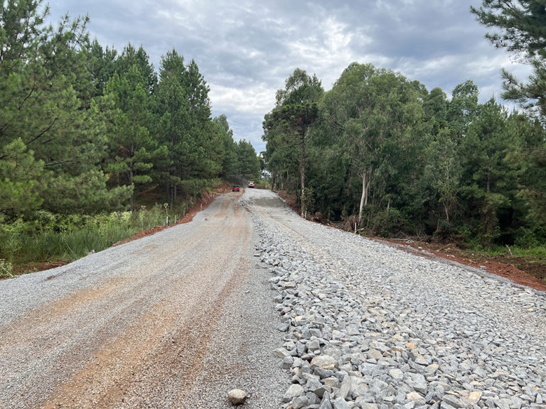 Asfalto no Parque dos Pinheiros deve ser concluído no final do ano