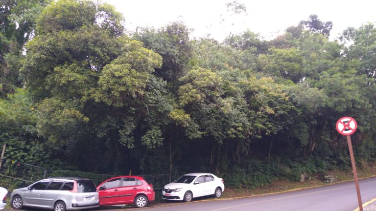 ATENÇÃO MOTORISTAS: Rua Getúlio Vargas, no bairro Piratini, será interditada nesta quinta-feira