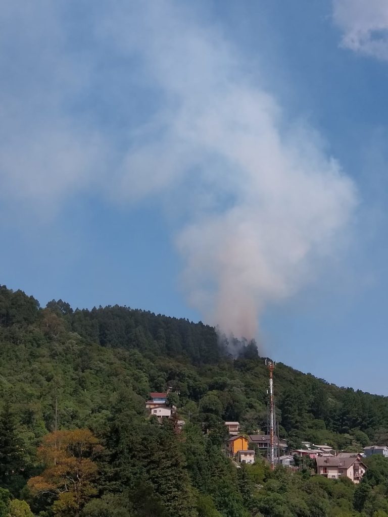 Bombeiros combatem incêndio em mata próxima ao Serra Park