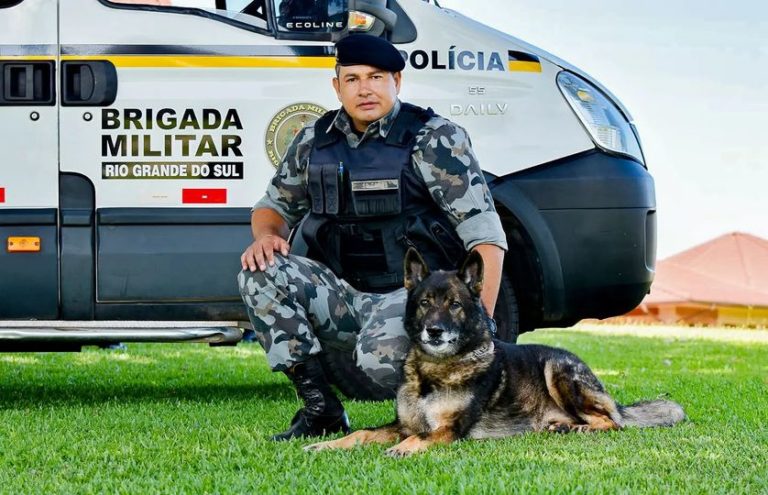 Morre cão policial que já atuou na Brigada Militar da Serra Gaúcha