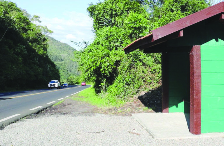 Lei que determina a fixação dos horários de ônibus nas paradas ainda não está sendo aplicada