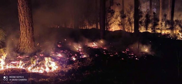 Veja o vídeo: Carro pega fogo e chamas se espalham pela mata em São Francisco de Paula