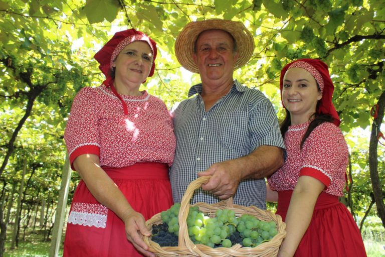 Vindima celebra as origens e tradições italianas