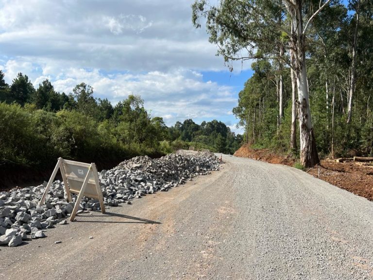 Obra de pavimentação da Estrada do Parque dos Pinheiros segue em andamento