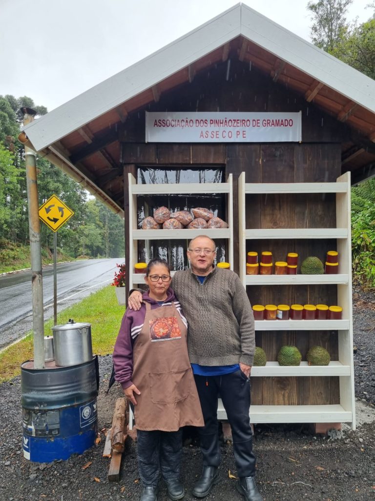 Saiba o preço do pinhão e a expectativa para a safra 2023