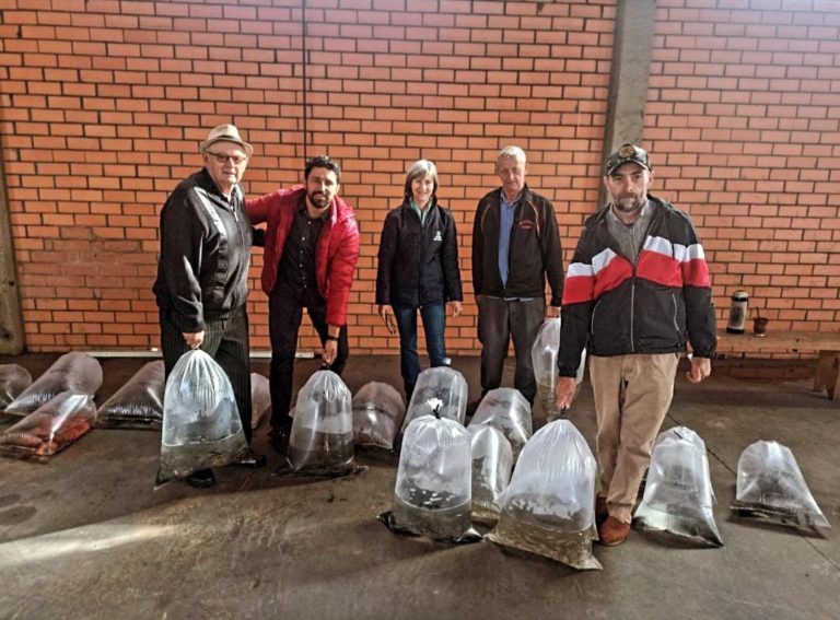 4 mil alevinos são entregues para produtores de Gramado