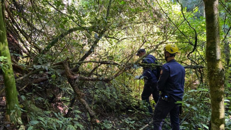 Bombeiros encerram buscas por idoso desaparecido na Serra Grande