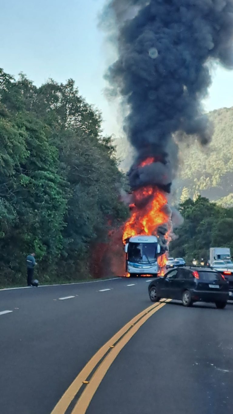 Deputada Luciana Genro encaminha denúncia contra a Citral