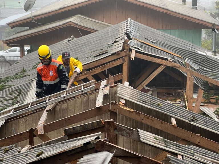 Árvore cai em residência no bairro Dutra