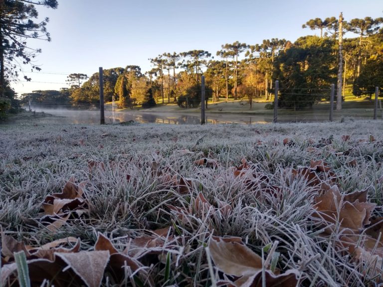 FOTOS: Confira como foi a manhã de geada na Região das Hortênsias