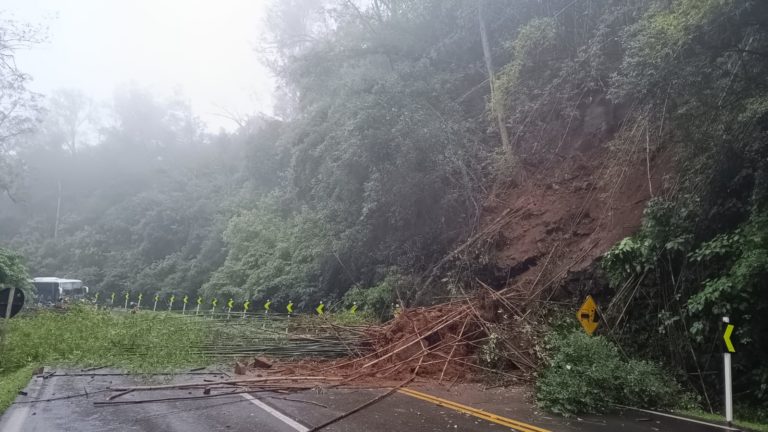 ERS-115 está bloqueada na altura do Zoológico devido a queda de barreira