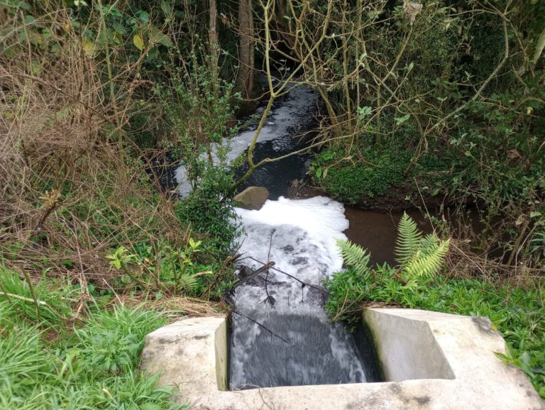 Situação de Estação de Tratamento de Esgoto é caótica