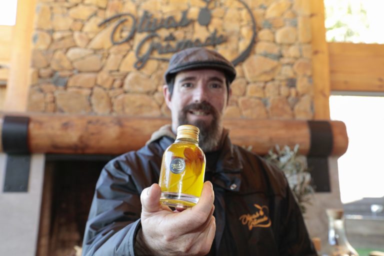 Olivas de Gramado cria azeite inédito com PANC para o Festival de Cultura e Gastronomia