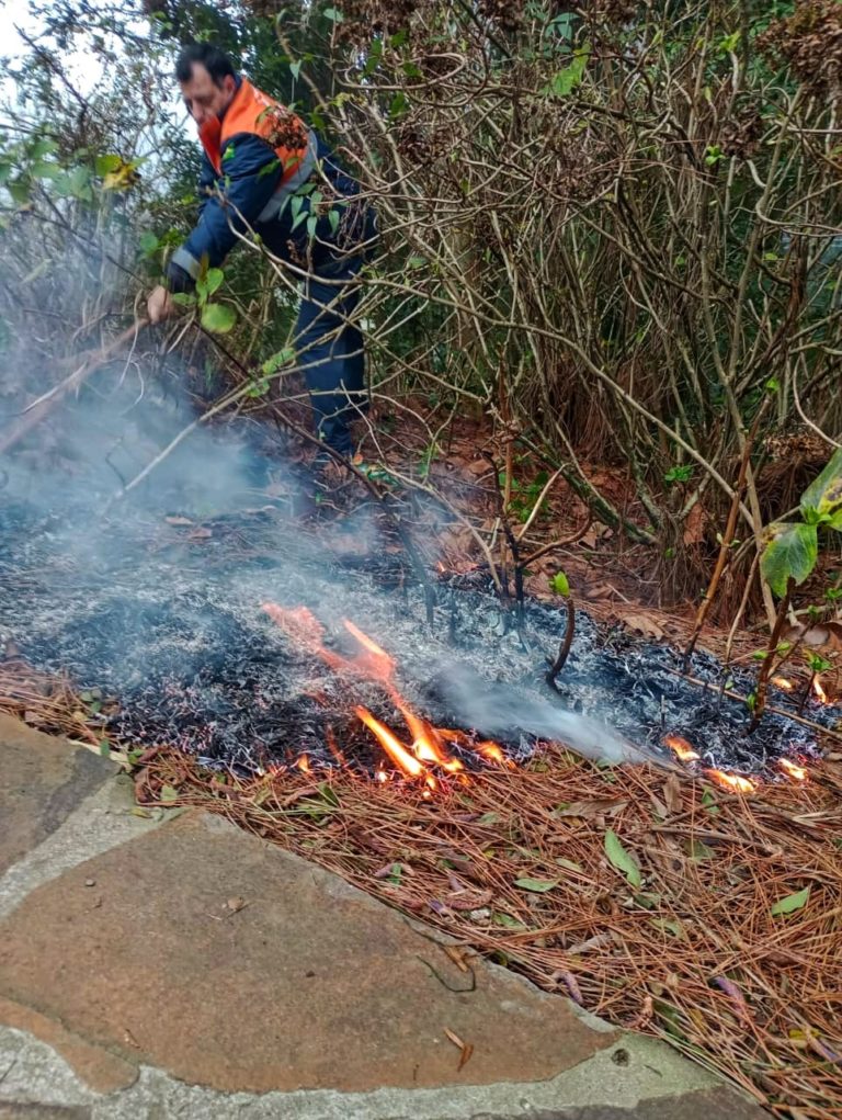 Defesa Civil combate focos de incêndio na ERS-115