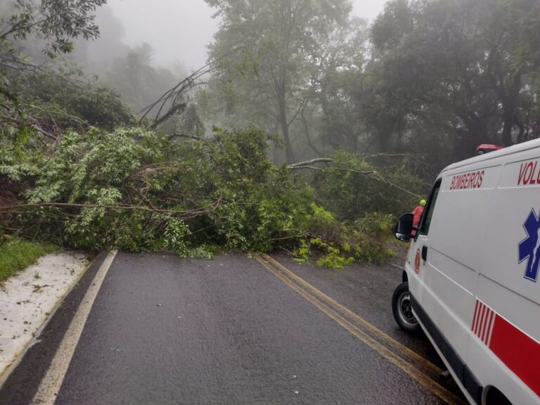 IMAGENS: Queda de barreira em Picada Café fecha a BR-116