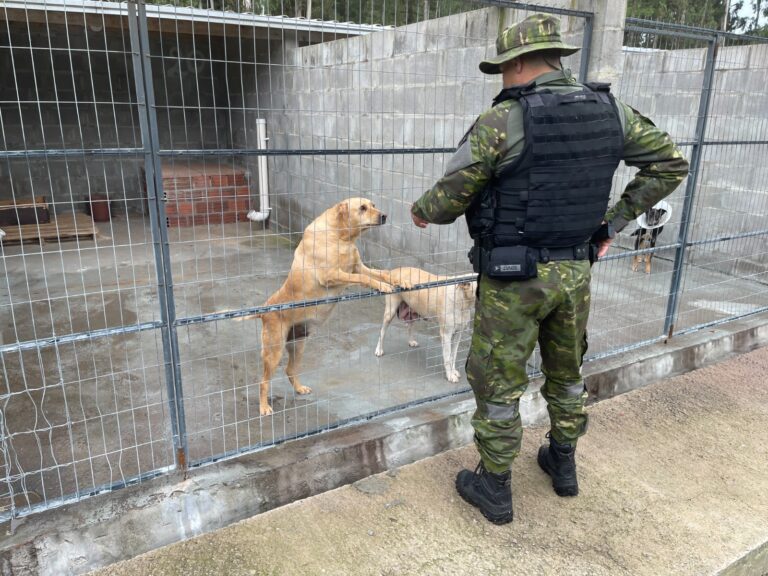 Patram não encontra irregularidades no Cempra