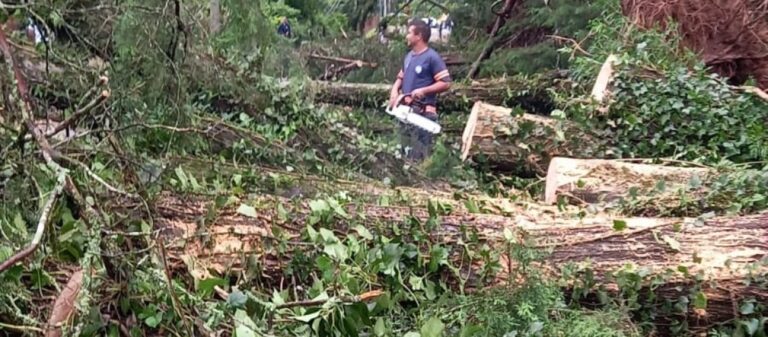 Canela: Equipes mobilizadas para atender danos causados pelo temporal