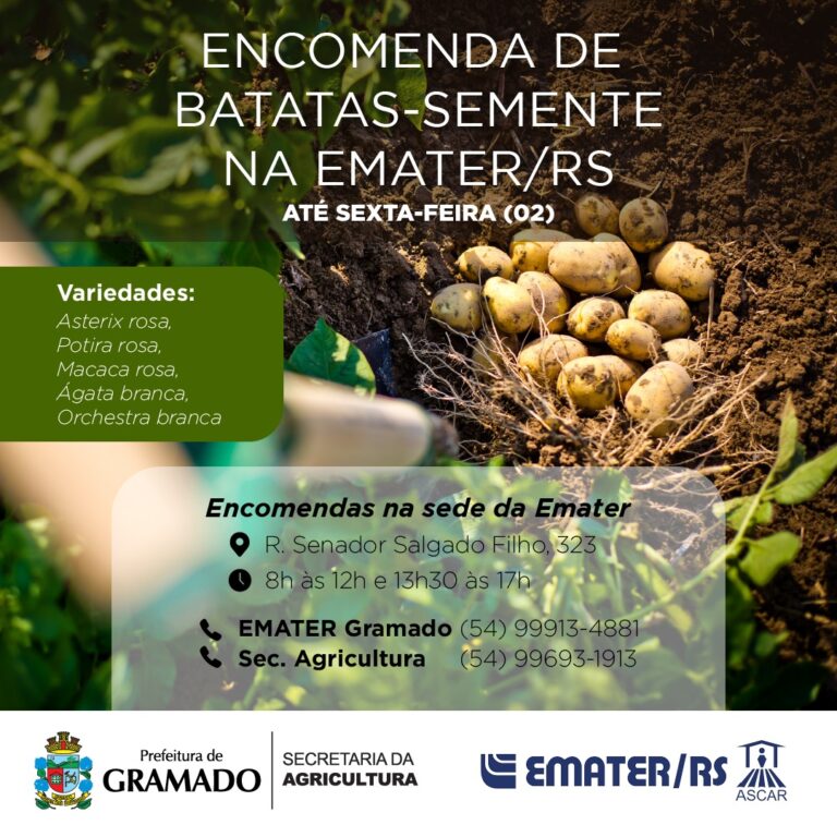 Secretaria da Agricultura e Emater promovem campanha para diversificar produção de batata