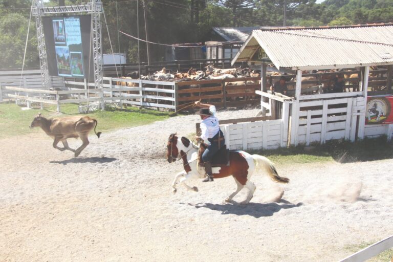 Rodeio de Gramado tem recorde de competidores e anúncio de troca da sede do Manotaço