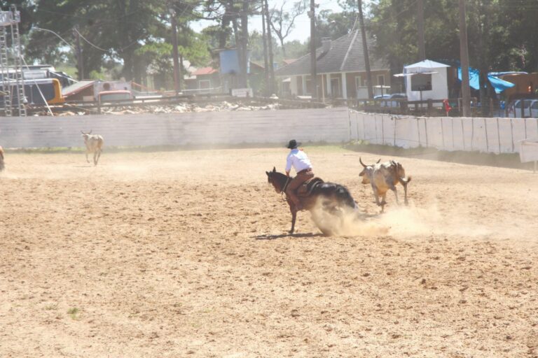Tradição de laçadores passando de pai para filho no Rodeio de Gramado
