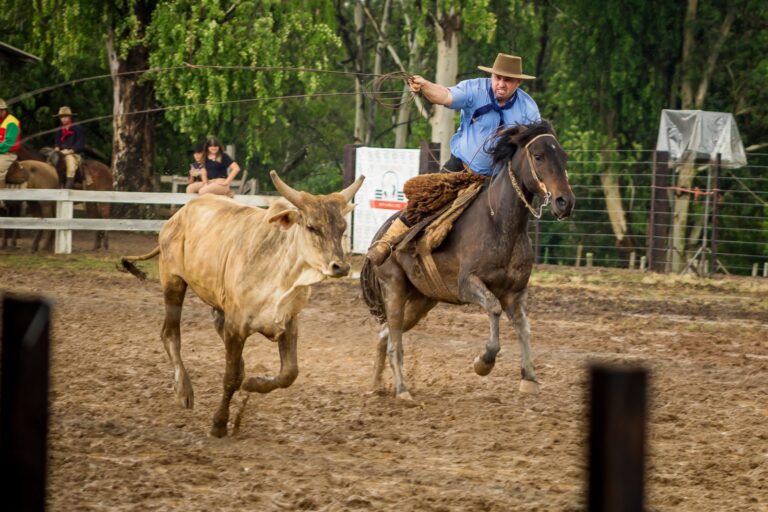 20ª Festa Campeira do CTG Pousada da Serra começa nesta sexta-feira