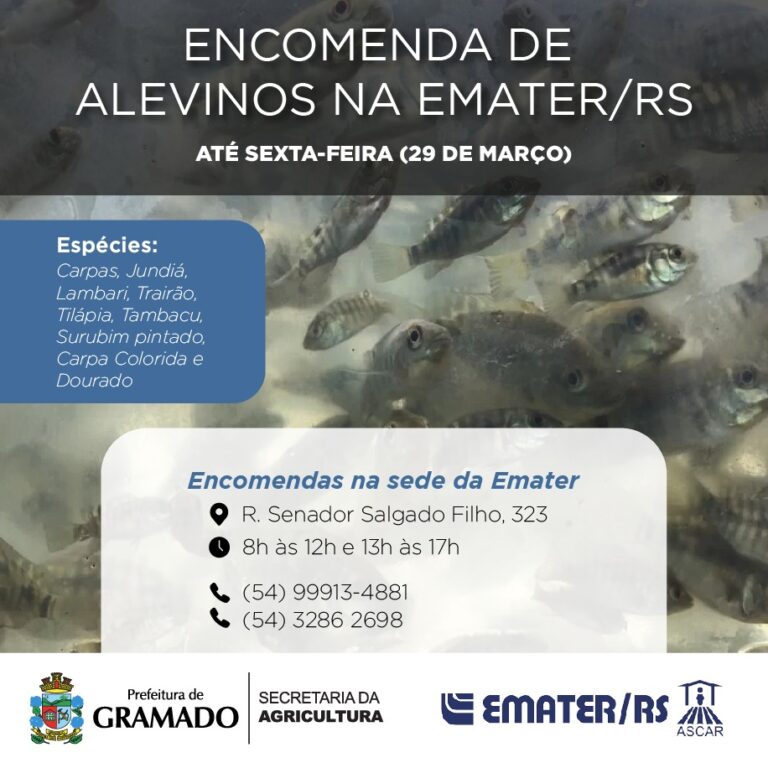 Produtores podem realizar encomenda de alevinos até 29 de março