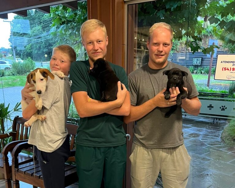 No Dia Nacional dos Animais, Saúde comemora números positivos de adoções