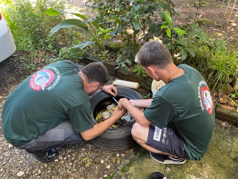 Dia D Nacional para combater a dengue