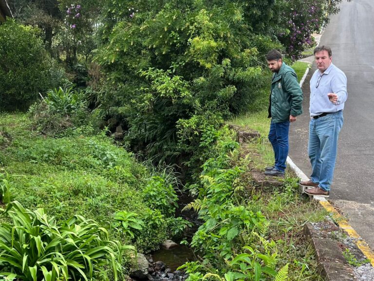 Combate a borrachudos está sendo realizado em Gramado