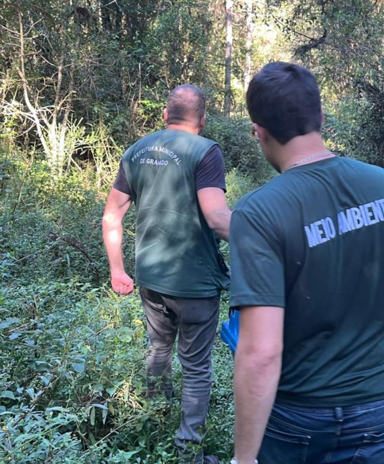Secretaria de Meio Ambiente reintroduz animais silvestres em seus habitats naturais