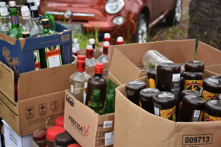 Dez toneladas de vidro e lixo eletrônico são recolhidas em Nova Petrópolis