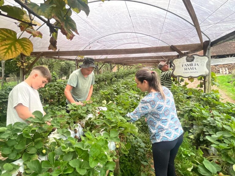 “Chegou o momento de mostrarmos o resultado do nosso trabalho”, destaca produtora