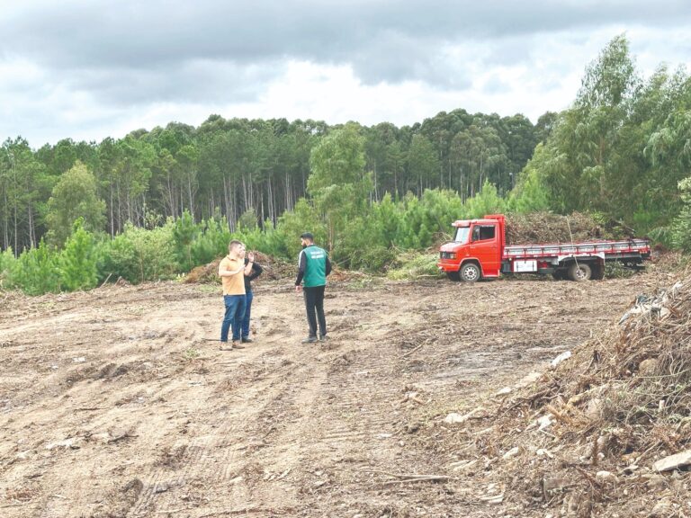 Recolhimento de resíduos verdes é retomada