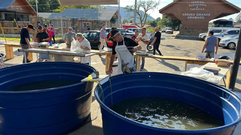 Fornos da Várzea recebem Feira do Peixe Vivo nesta quarta e quinta-feira