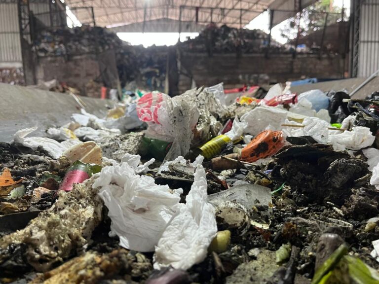 Como devemos separar o lixo?