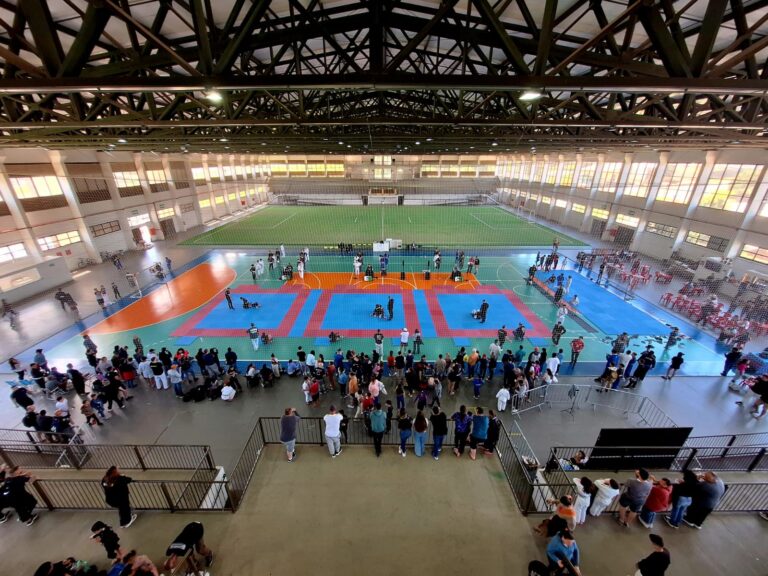 Uma grande mobilização no jiu-jitsu