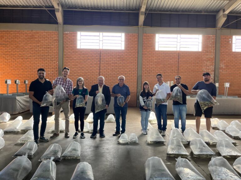 Agricultura distribui alevinos para fortalecer piscicultura no município