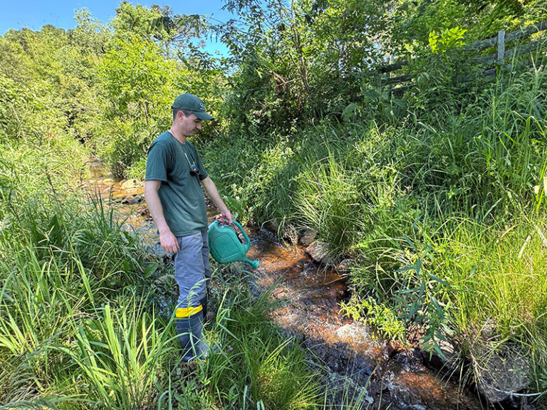 Saúde realiza aplicação de larvicida em córregos e arroios para combate ao borrachudo