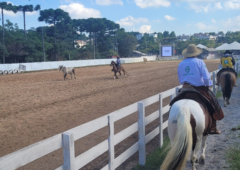 Gramado conta os dias para o maior rodeio da sua história