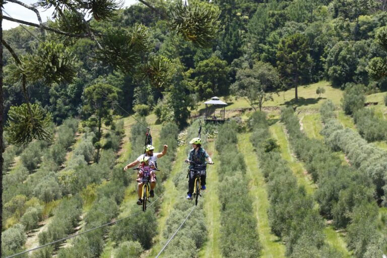 Na doação de material escolar moradores têm desconto especial para o Olivas de Gramado
