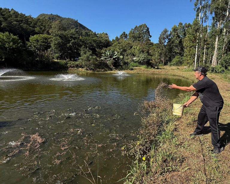 Feira do Peixe Vivo acontece na Várzea Grande nos dias 15, 16 e 17 de abril