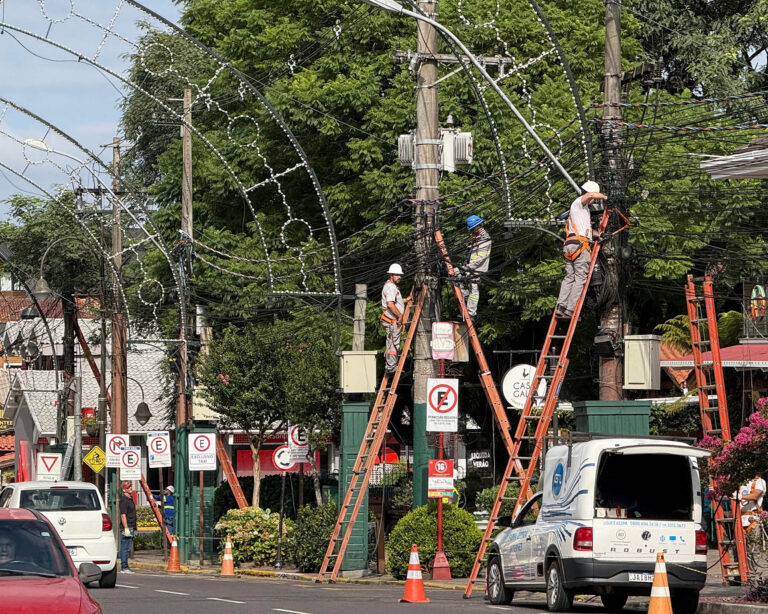 Fios inativos são removidos dos postes da Avenida das Hortênsias