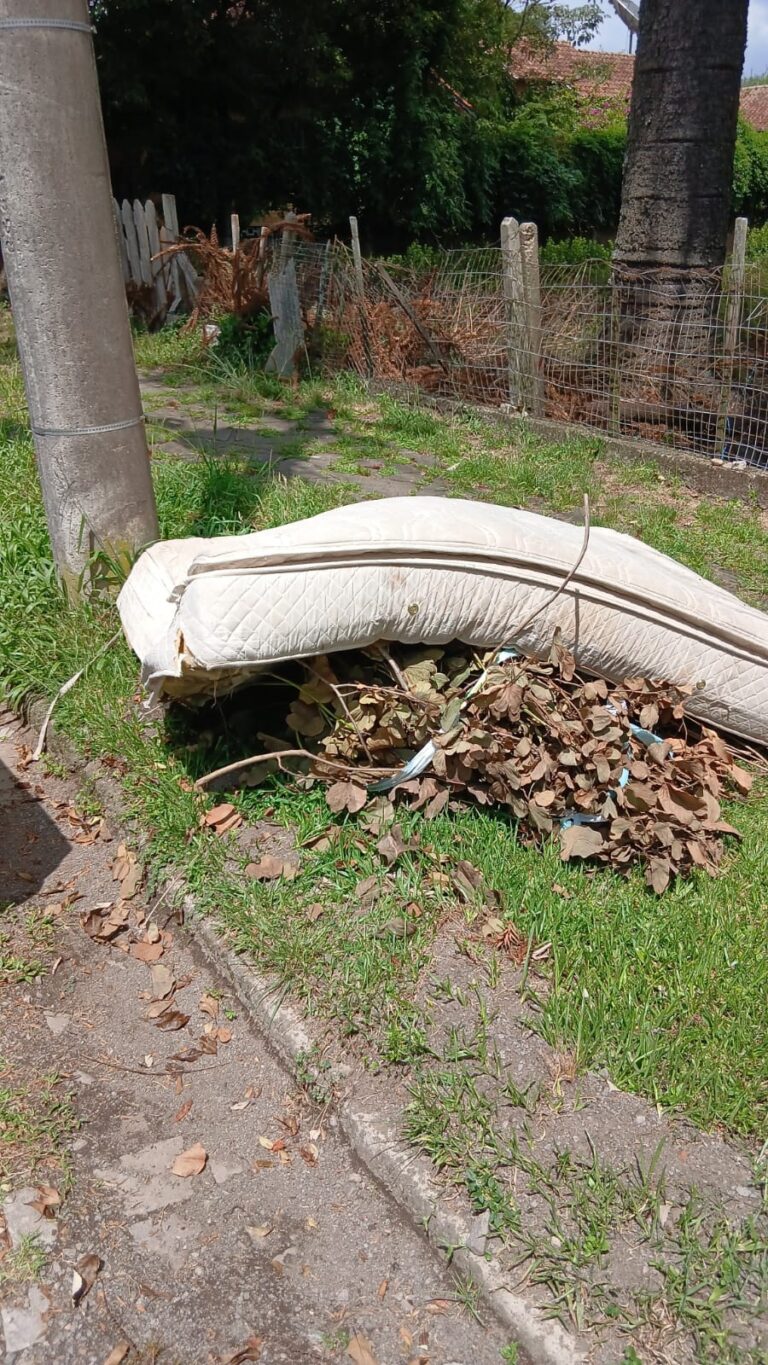 Mais de 30 toneladas de resíduos volumosos foram recolhidas desde o início do ano em Canela