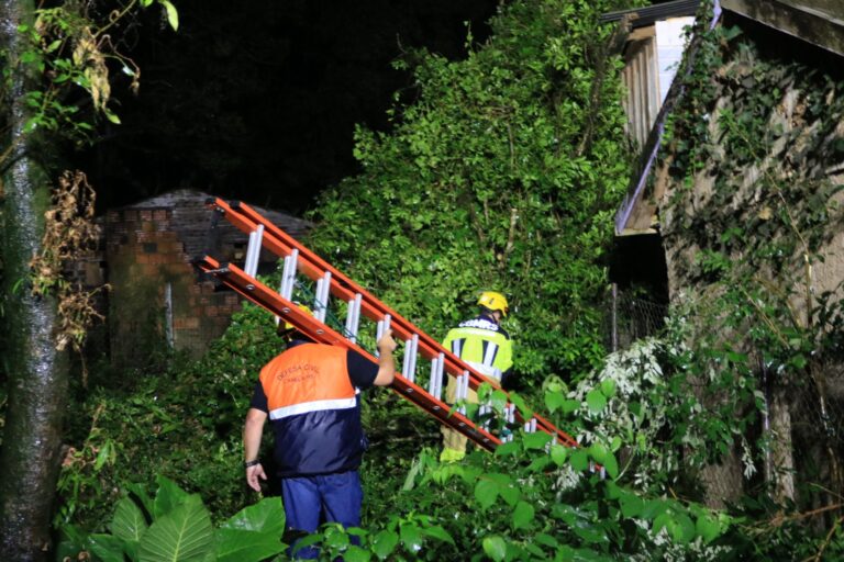 Defesa Civil de Canela atende ocorrência de queda de árvore em residência