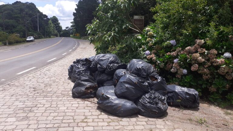Coleta de resíduos verdes em Canela será retomada nesta quinta