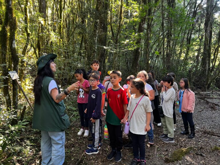 Parque dos Pinheiros é palco para educação ambiental com Escola Gentil Bonato