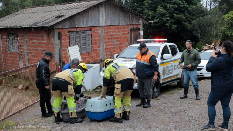 FOTOS: Ação do Cempra e polícias recolhem cães abandonados