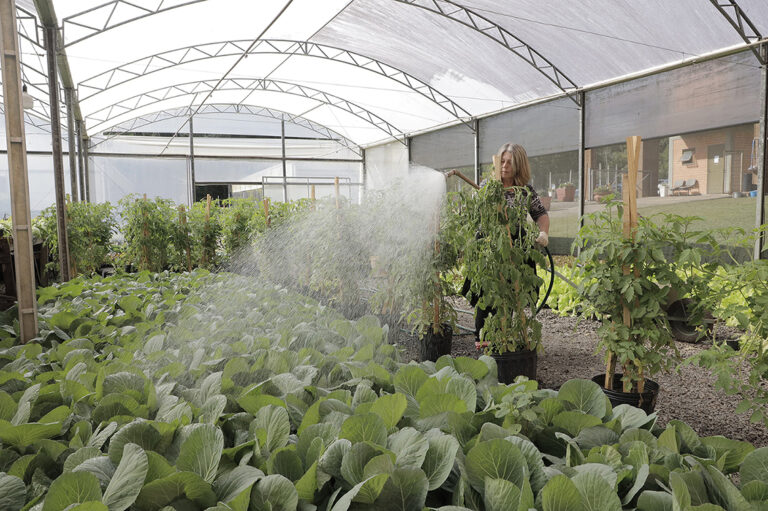 Horto de Gramado produz 11 mil mudas para Festa da Colônia